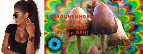 экстази Арсеньев