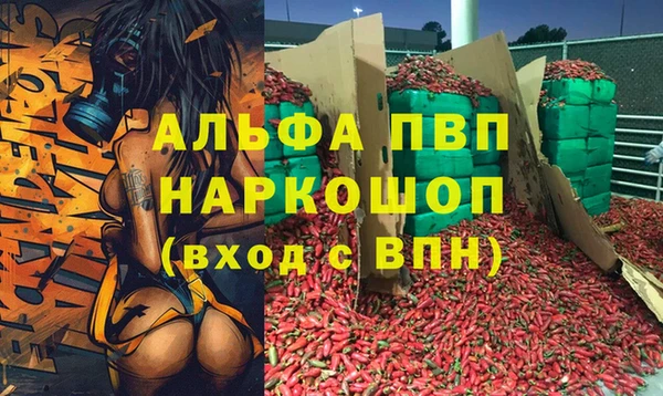 экстази Арсеньев