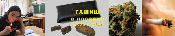 крисы Аркадак
