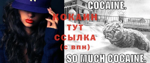 крисы Аркадак