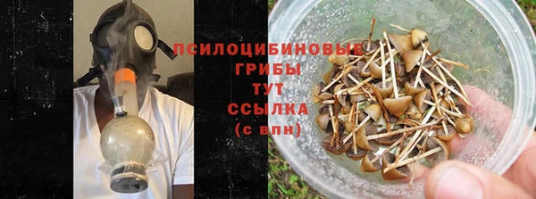 крисы Аркадак