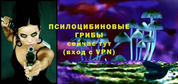 экстази Арсеньев