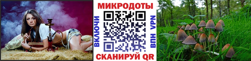 это какой сайт  Малоархангельск  Псилоцибиновые грибы MAGIC MUSHROOMS  закладка 